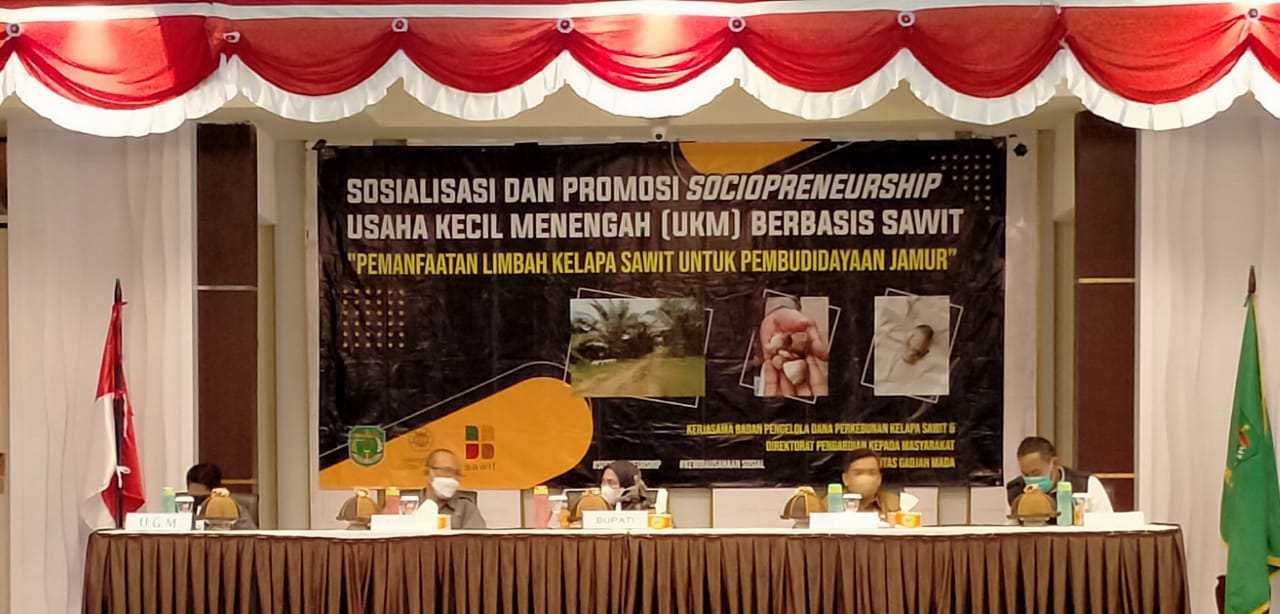 BPDPKS dan  UGM bangun Sociopreneur  UKMK Sawit di Luwu Utara