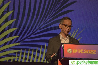 Indonesia Harus Percaya Diri Memiliki Kelapa Sawit