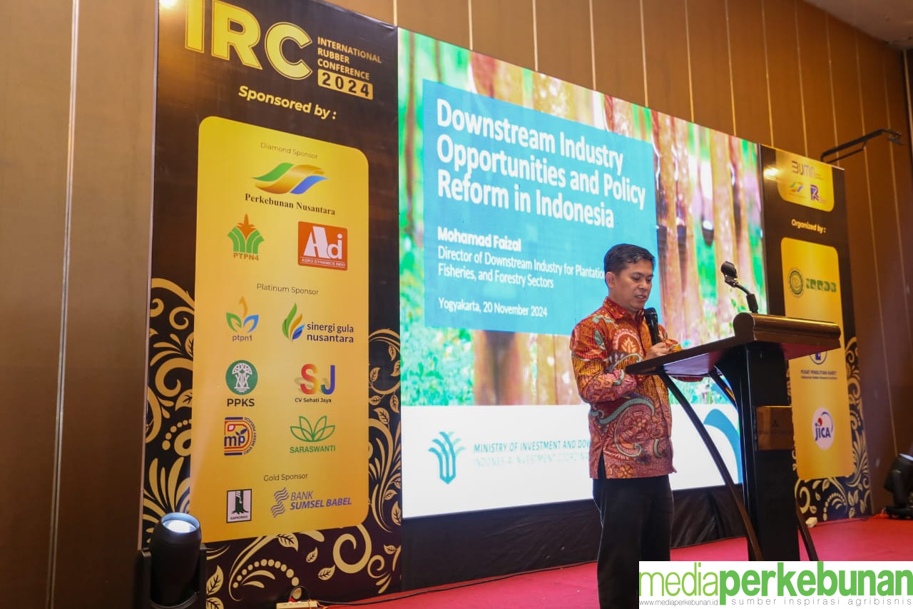 BKPM Tawarkan 2 Investasi Hilirisasi Karet