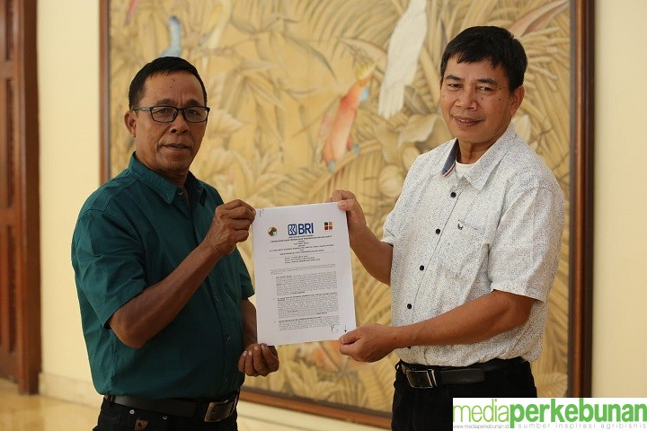 Tiga KUD Mitra Asian Agri di Jambi Tandatangani Perjanjian Kerja Sama PSR