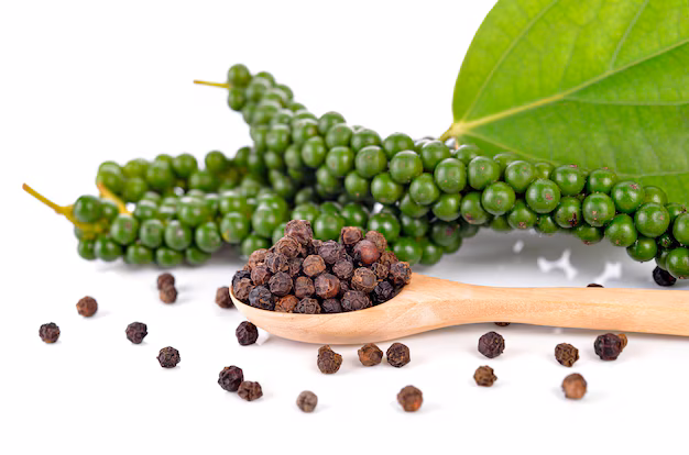 International Pepper Community: Produksi Lada Dunia 2026 Diperkirakan 530 Ribu Ton