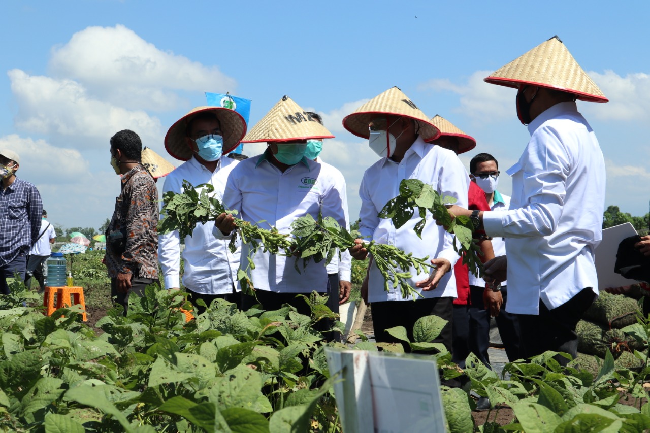 MENKOP UKM LEPAS EKSPOR EDAMAME ANAK PERUSAHAAN PTPN X