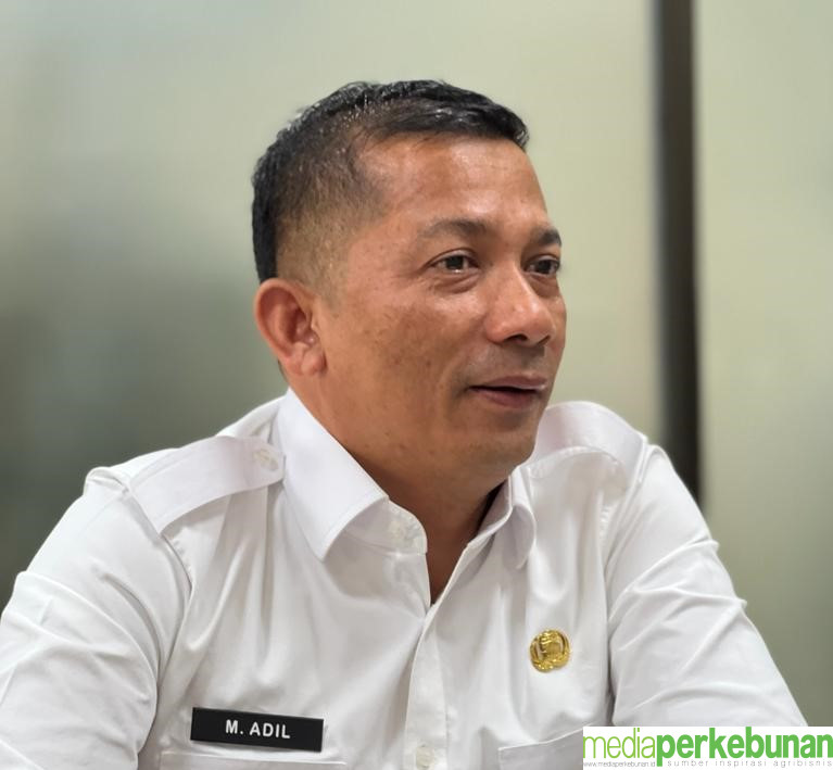 KABUPATEN MERANTI CARI INVESTOR PENGOLAHAN KELAPA