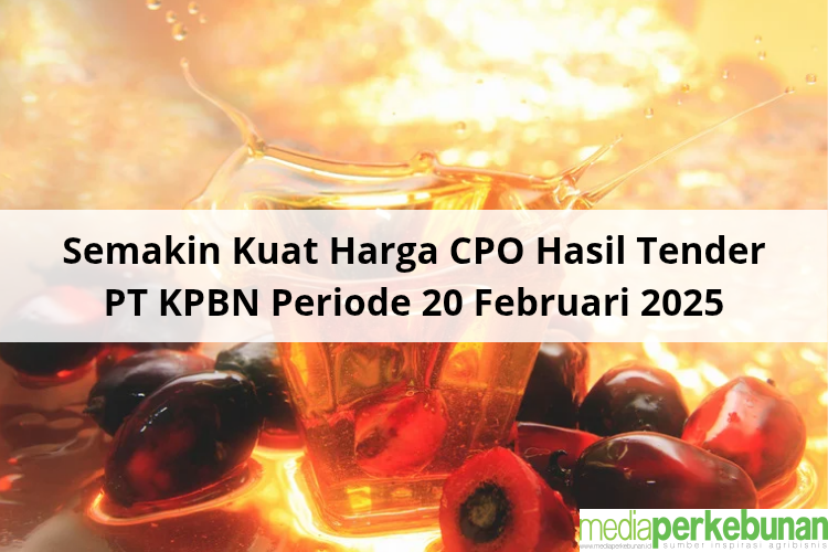Semakin Kuat Harga CPO Hasil Tender PT KPBN 20 Februari 2025
