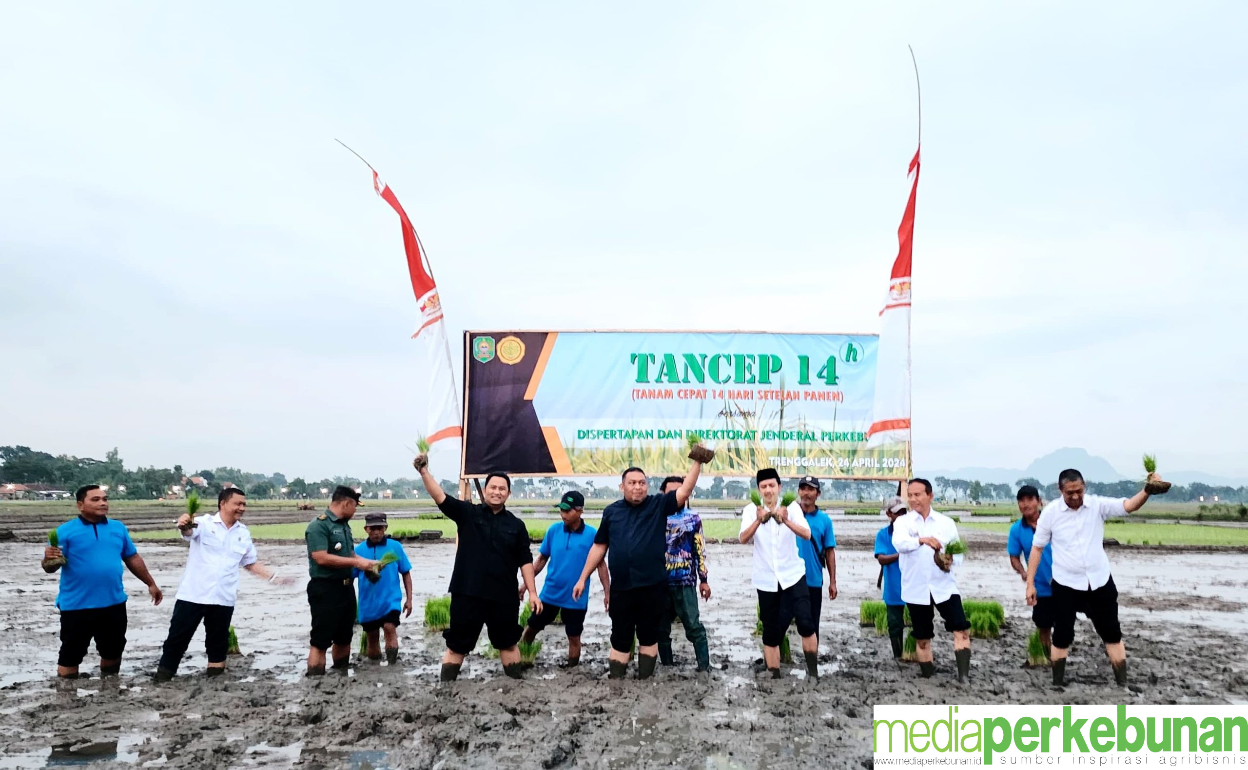 Proaktif Jaga Produksi Padi, Kementan Lanjutkan Pompanisasi di Trenggalek