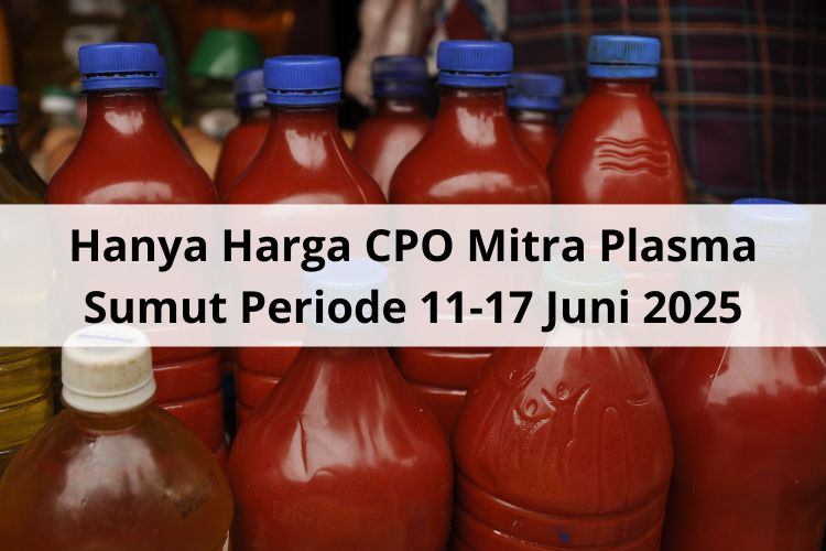 Hanya Harga CPO Mitra Plasma Sumut yang Rontok untuk Periode 11-17 Juni 2025