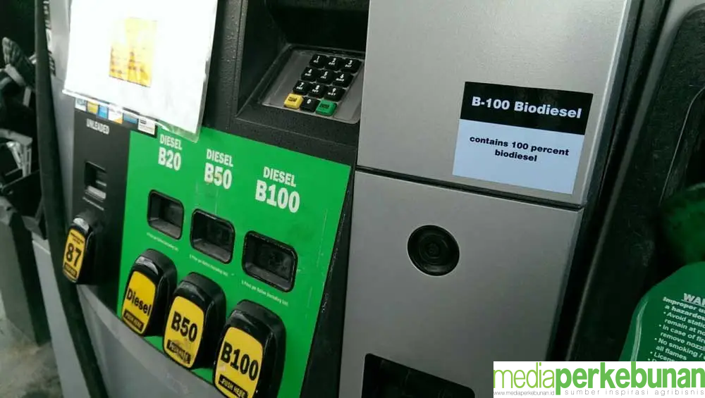 Perkebunan Sawit Rakyat Berperan Sukseskan Mandatori Biodiesel B50