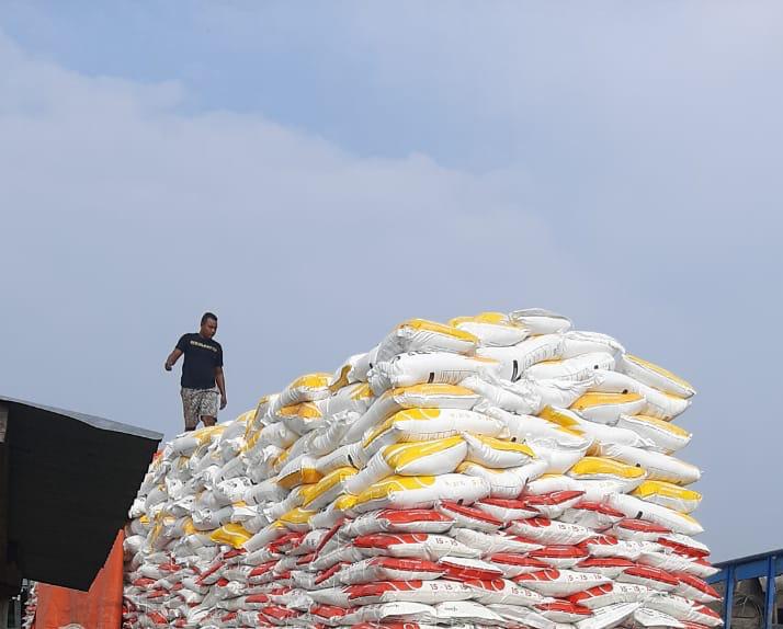TAHUN 2022, PTPN X SALURKAN 15.693 TON PUPUK MELALUI PROGRAM MAKMUR