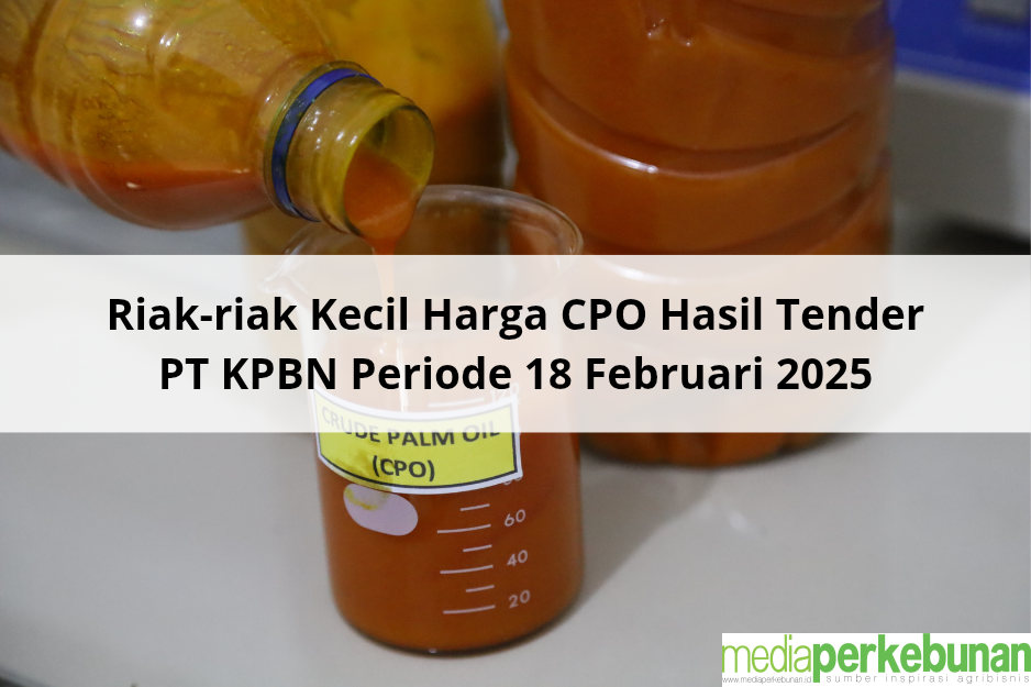 Riak-riak Kecil Harga CPO Hasil Tender PT KPBN Periode 18 Februari 2025