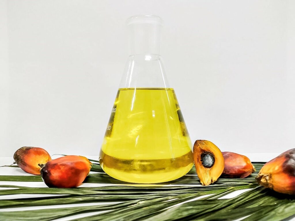 Harga CPO di Malaysia Tembus RM 4.000 per Ton, Tender di PT KPBN Periode 2 Juli 2025 Meroket