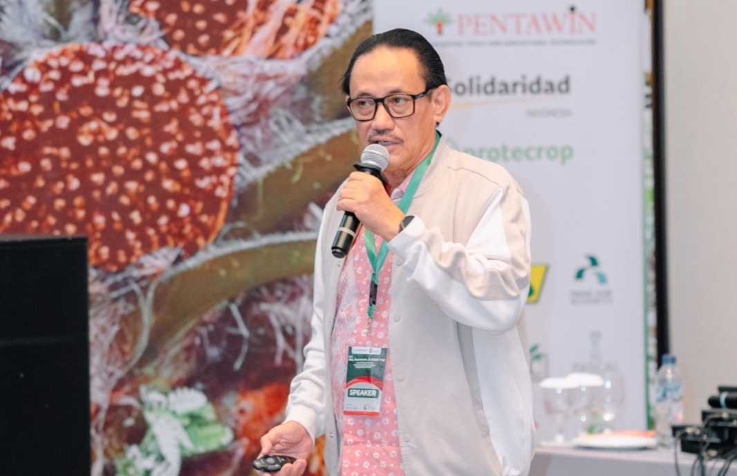 Super Male: Inovasi Socfindo untuk Meningkatkan Fruit Set