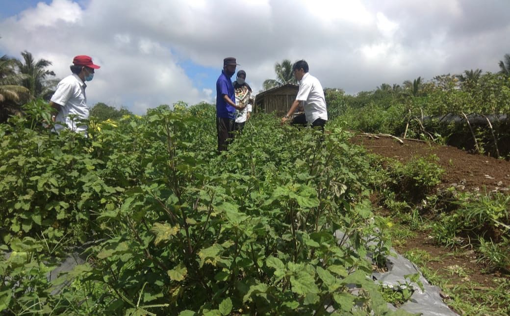 Kunci Pengembangan Agribisnis Atsiri Masa Depan Adalah Kemitraan
