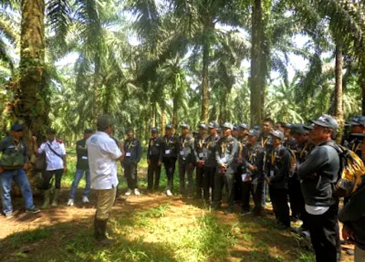 Produktivitas Sawit di Banten Masih Rendah, Begini Solusinya!