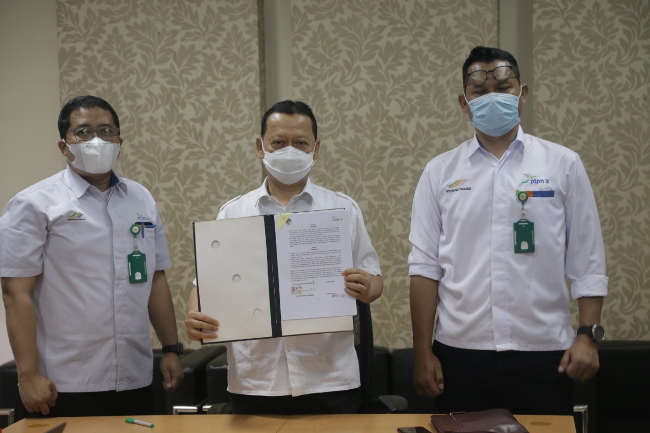 Tambah Luasan Lahan, PTPN X Garap Lahan Milik KLHK