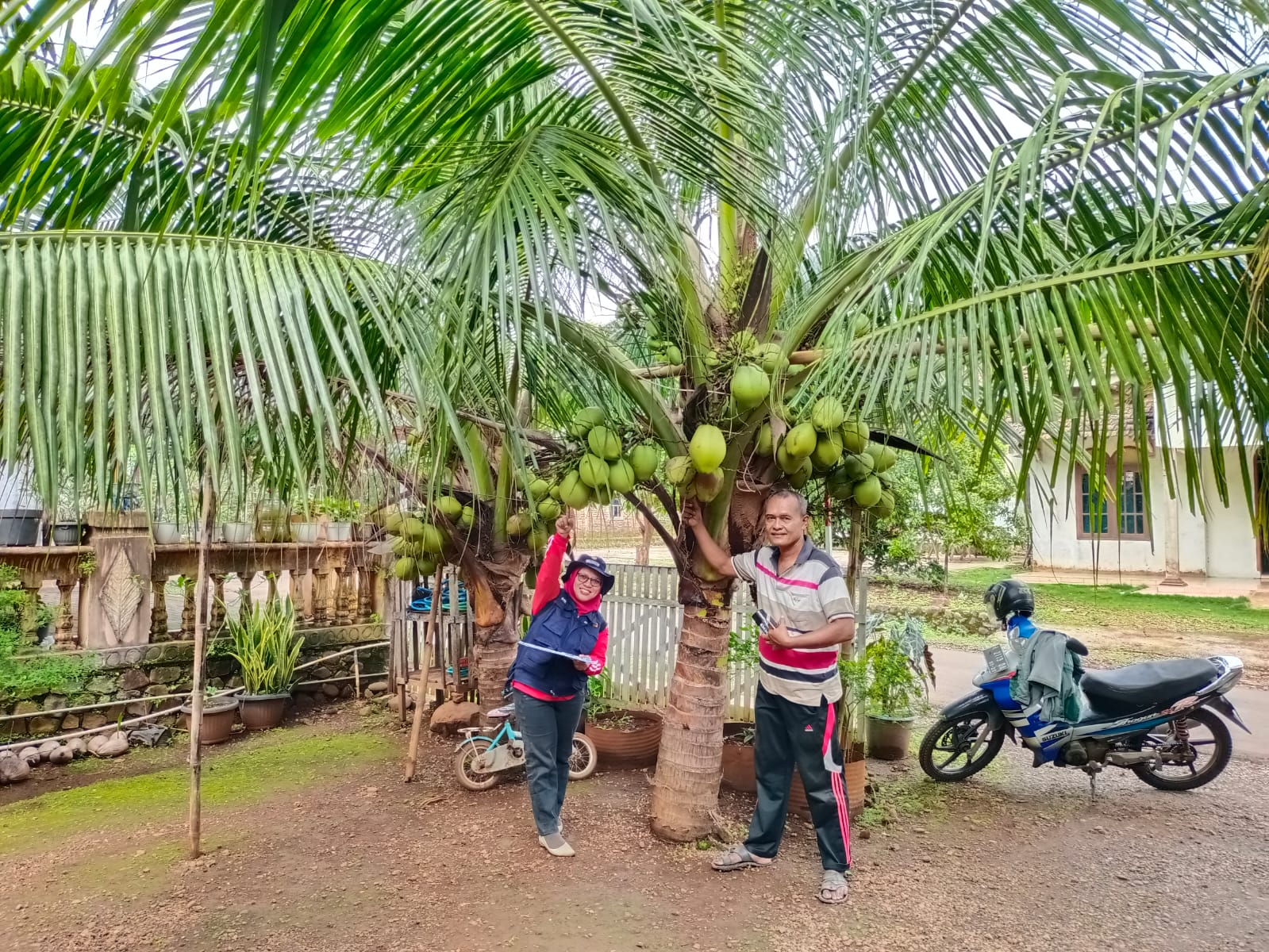 APKI Siapkan Lahan Lebih 50 Ha untuk Kawasan Terpadu Pengembangan Kelapa