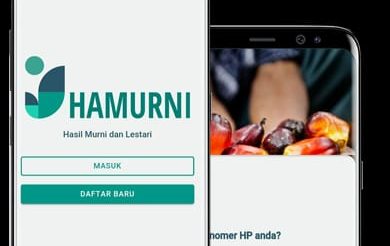 Aplikasi Hamurni Selaras dengan RSPO, Sudah Digunakan Ratusan Petani Sawit di Kalbar