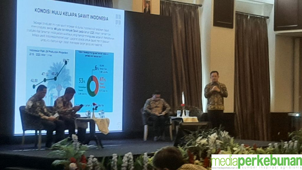 Kawasan Ekonomi Khusus Akan Dioptimalkan untuk Hilir Sawit
