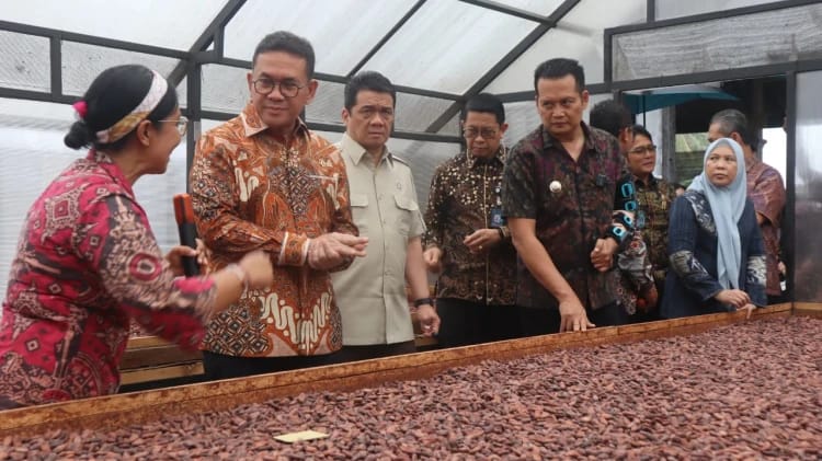 Biji Kakao Fermentasi dari Jembrana Diekspor ke Perancis