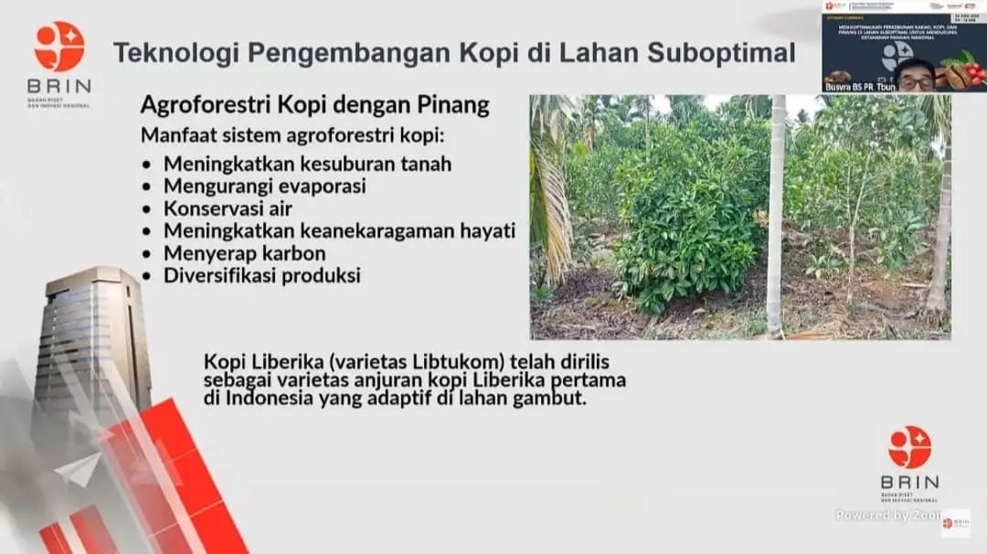 Mayoritas Lahan Indonesia Sub Optimal, Cocok untuk Perkebunan Kopi, Kakao, dan Pinang
