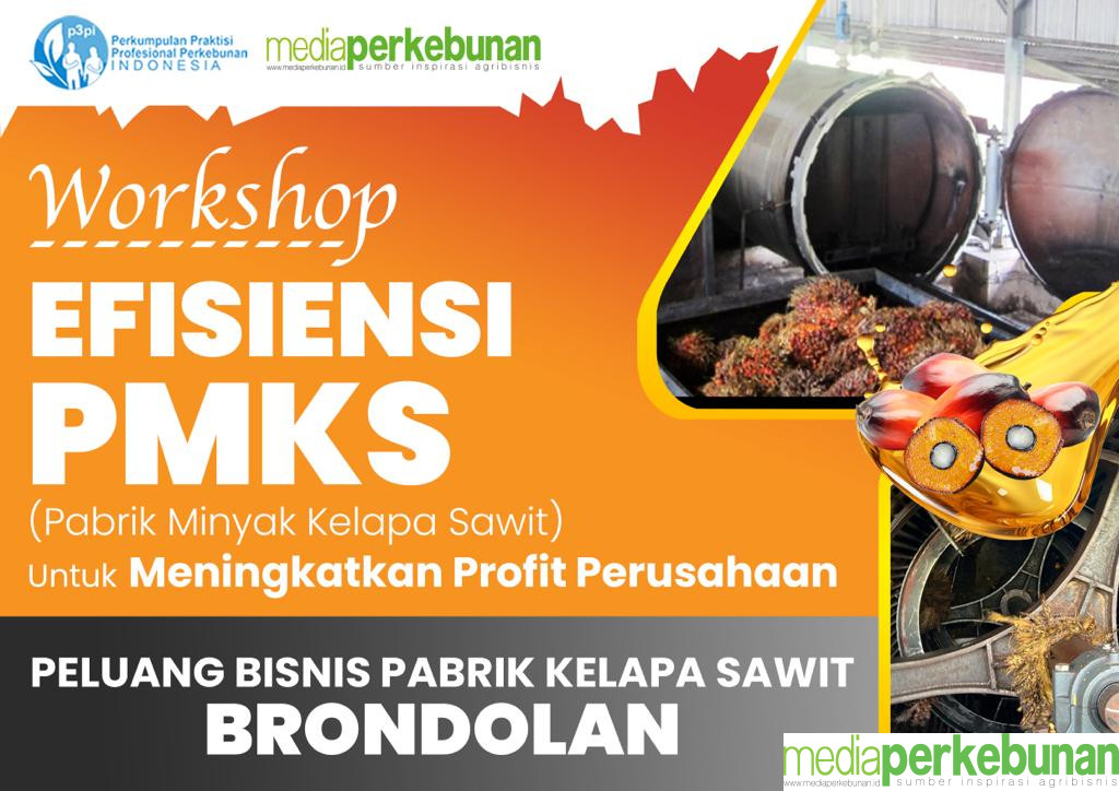WORKSHOP OFFLINE P3PI : PELUANG BISNIS PKS  BRONDOLAN