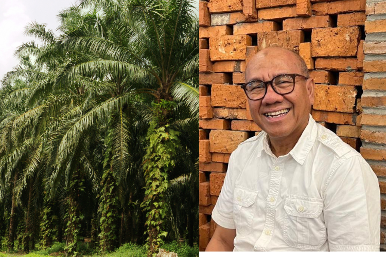 Bangun Sistem Penggajian untuk Jaga Kesinambungan Produksi pada Perkebunan Sawit