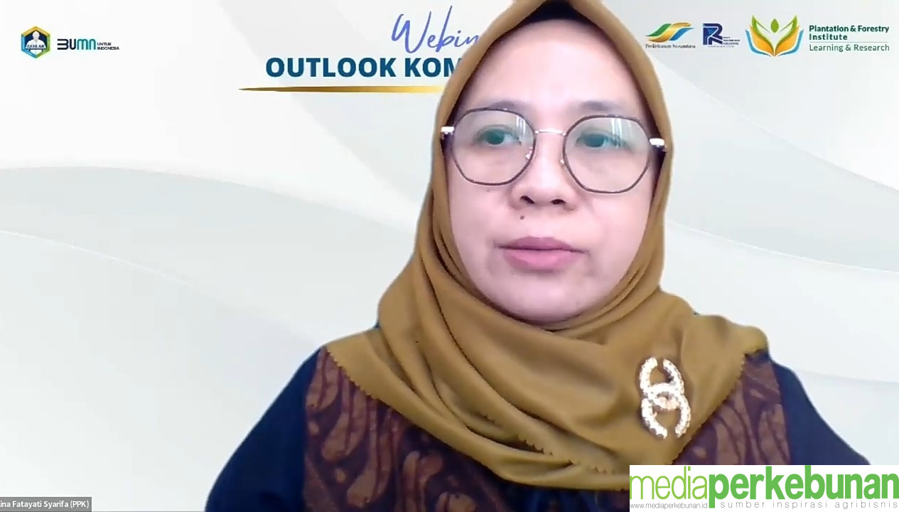 USULAN KEBIJAKAN KARET