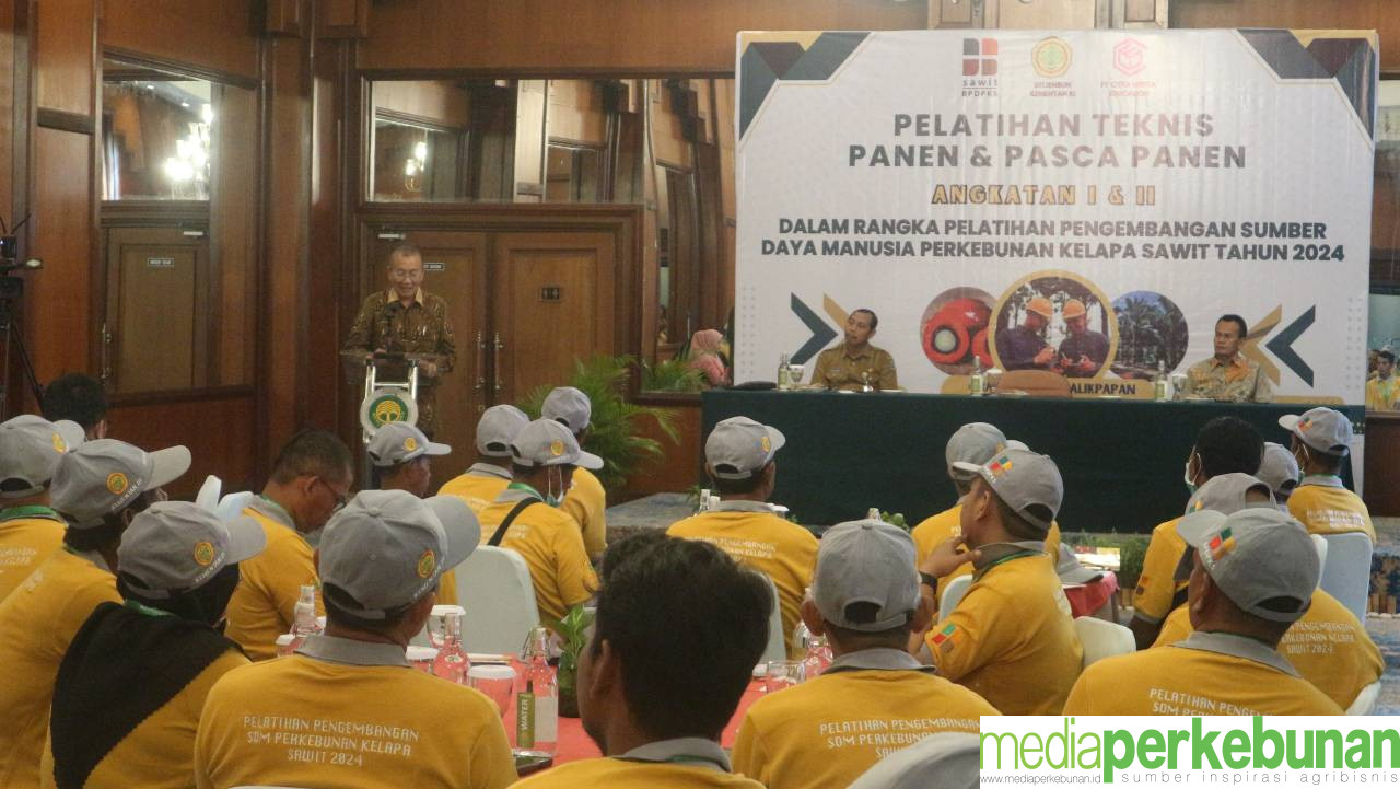 Petani Sawit Kabupaten Paser Ikuti Pelatihan Teknis