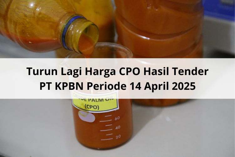Turun Lagi Harga CPO Hasil Tender PT KPBN Periode 14 April 2025