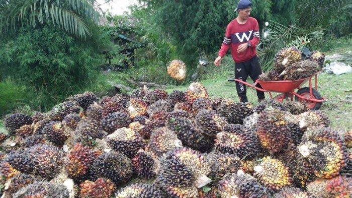 FORUM MULTIPIHAK RAN KSB BANTU PETANI DAPATKAN SERTIFIKAT ISPO