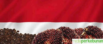 Agustus 2022, Perkebunan Masih Penyumbang Terbesar Ekspor