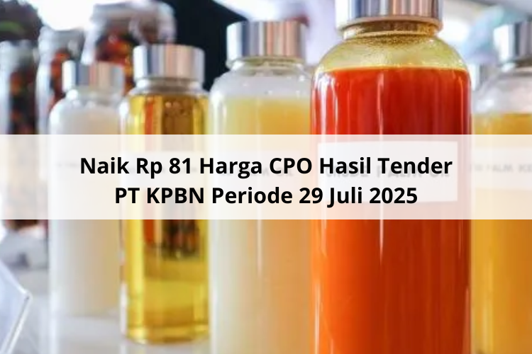 Naik Rp 81 Harga CPO Hasil Tender PT KPBN Periode 29 Juli 2025