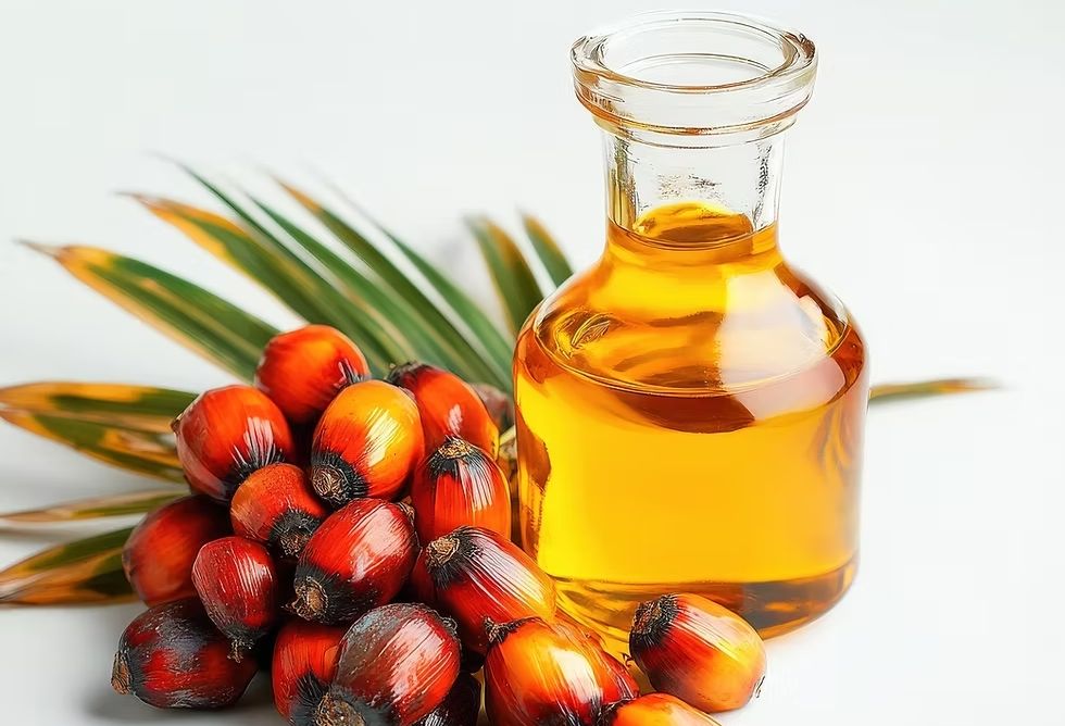 Harga Referensi CPO Januari 2026 Turun
