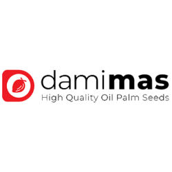 Damimas