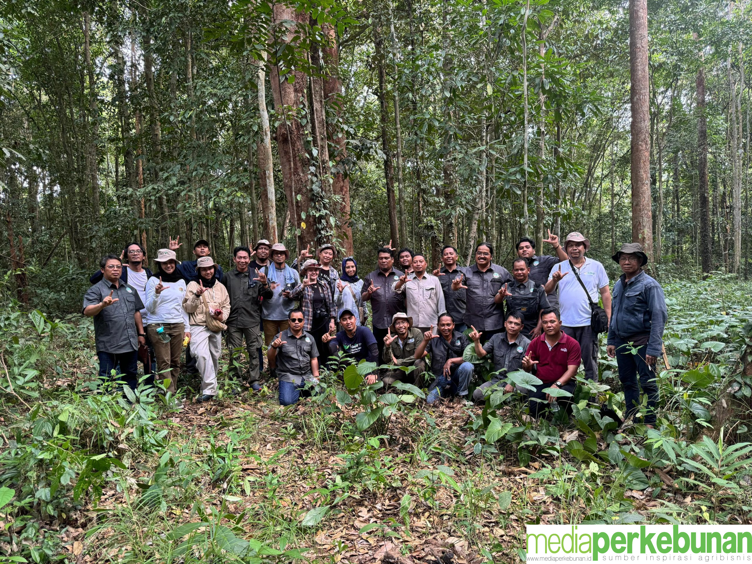 Visit Media FORTASBI: Solusi Kempanye Negatif Sawit EUDR dan Komitmen Konservasi Hutan