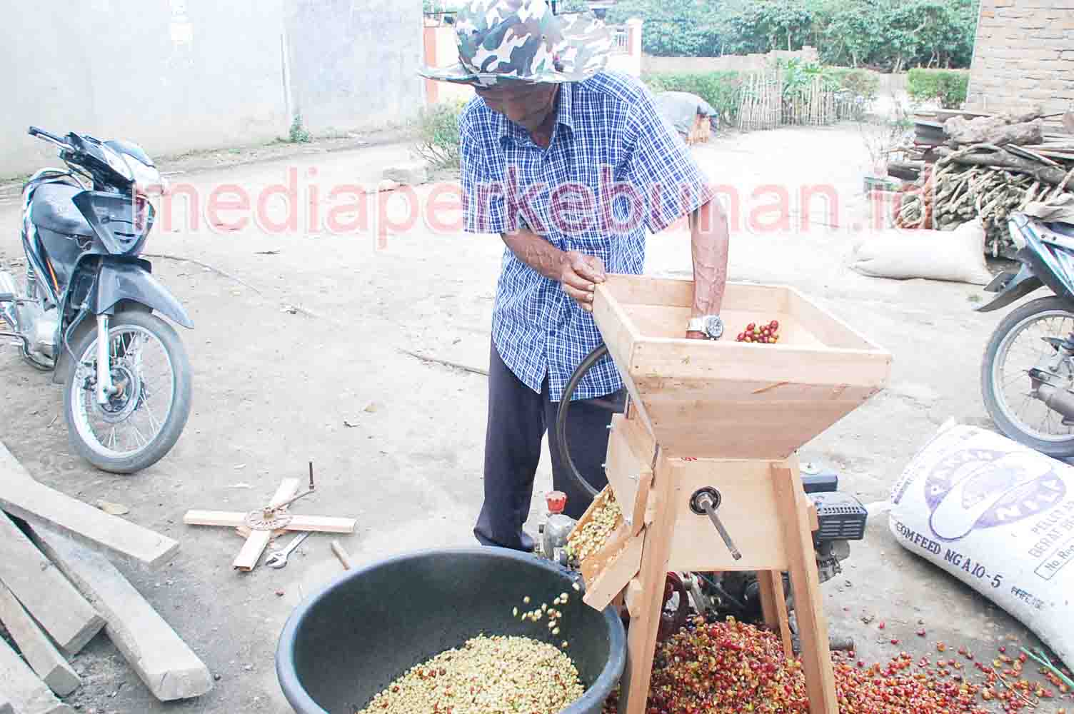 Kemenkop dan UKM Kembangkan Kemitraan Pelaku Kopi