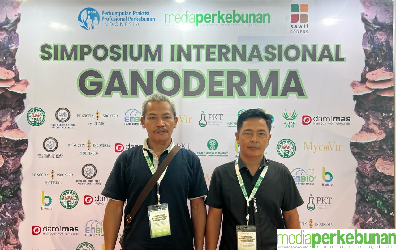 Petani Minta BPDPKS Bantu Pendanaan Atasi Ganoderma