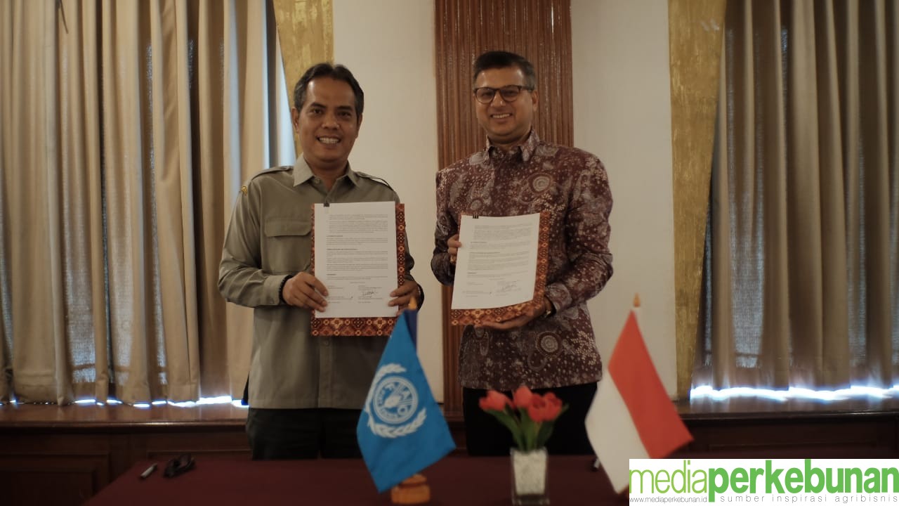 Ditjen Perkebunan dan FAO  Tandatangani Implementation Arrangement Kerjasama Proyek FOLUR