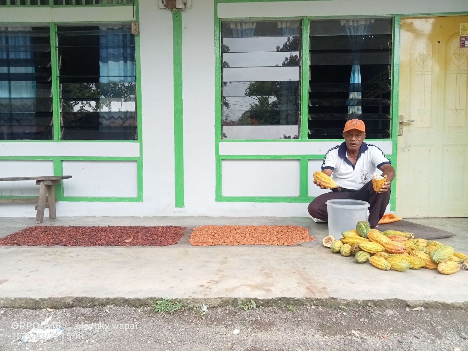 Dahsyat, Harga Kakao di Daerah Ini Minimal Rp 70.000 Per Kg