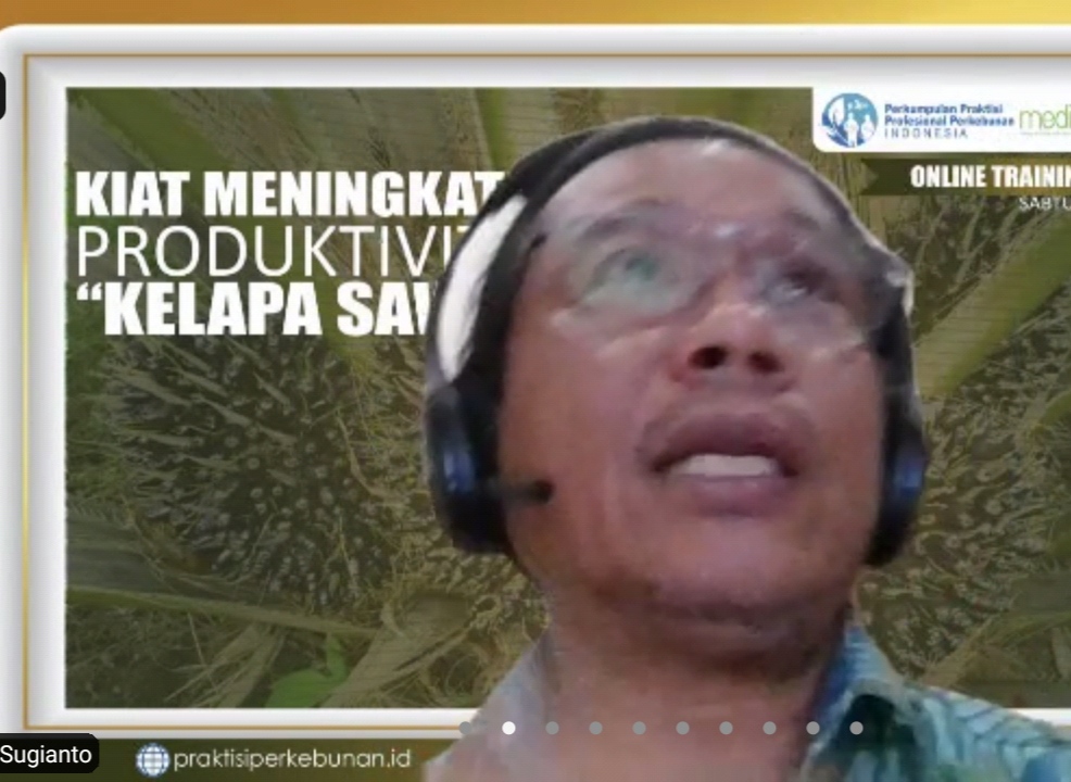 P3PI : JANGAN PUPUK  KELAPA SAWIT DENGAN GARAM