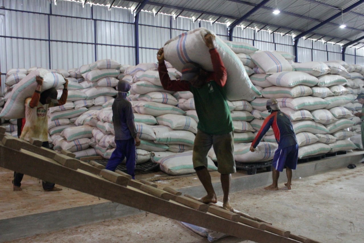 DITJENBUN TEMPUH BERBAGAI CARA UNTUK ATASI PENUMPUKAN PRODUKSI PETANI