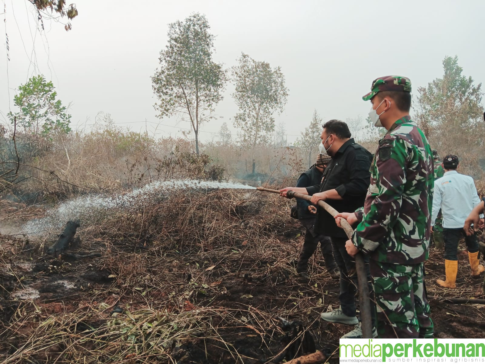 Selamatkan Sawit, Kementan Terjun Padamkan Kebakaran Lahan di Kalsel