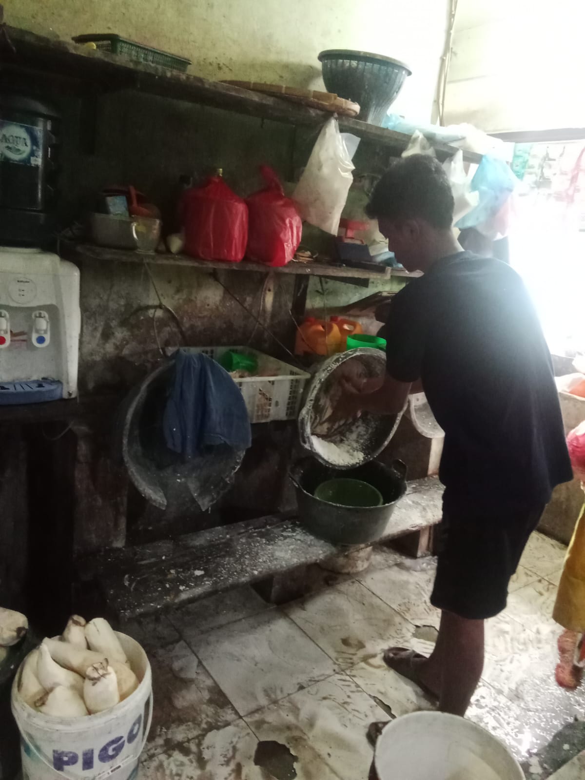 harga kelapa