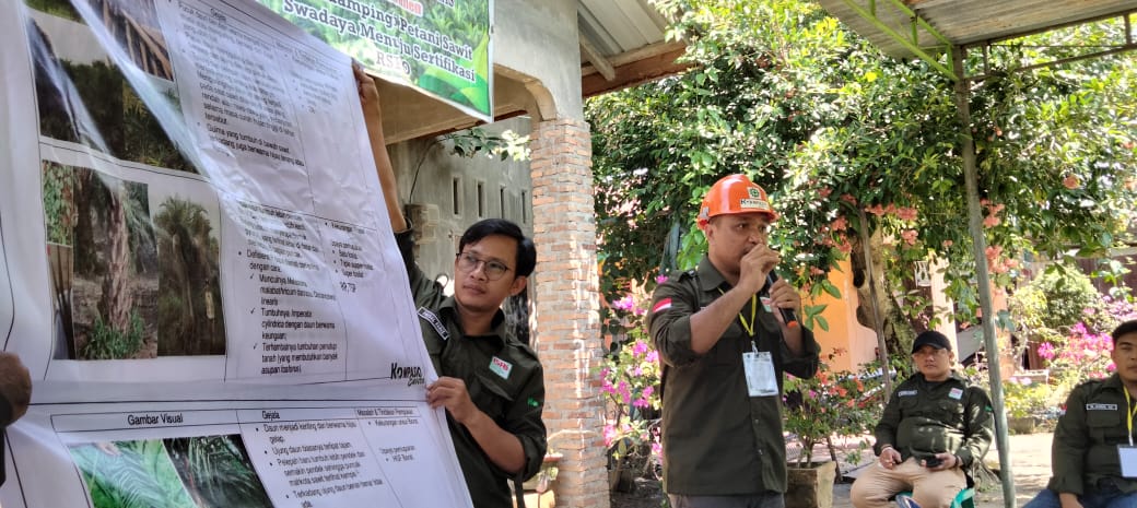 Pendampingan dan Peran Multipihak, Percepat Sertifikasi ISPO
