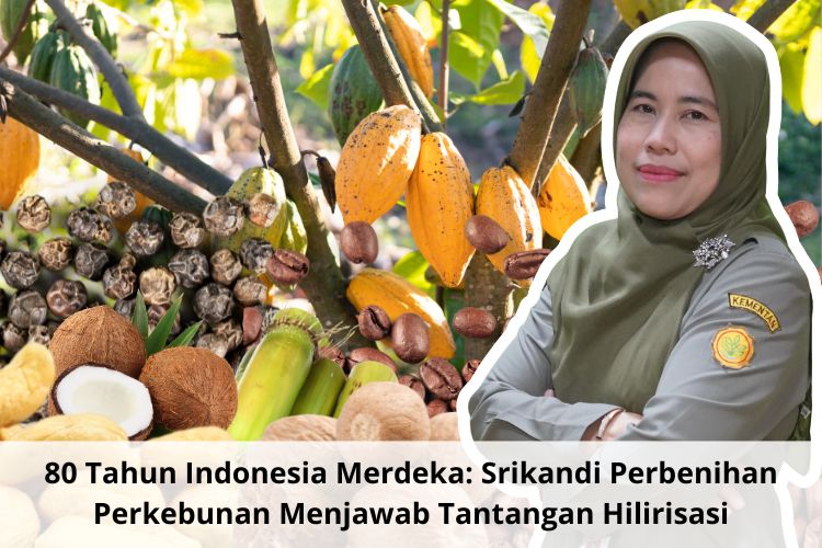 80 Tahun Indonesia Merdeka: Srikandi Perbenihan Perkebunan Menjawab Tantangan Hilirisasi