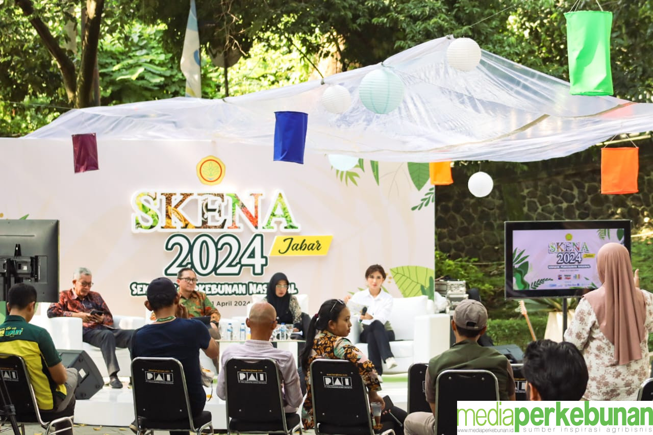 SKENA Menjadi Sumber Wawasan Bagi Para UMKM