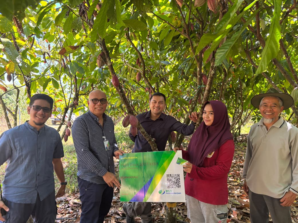 BPJS Ketenagakerjaan Rambah Ekosistem Kakao, Beri Perlindungan Bagi Petani di Pangkep