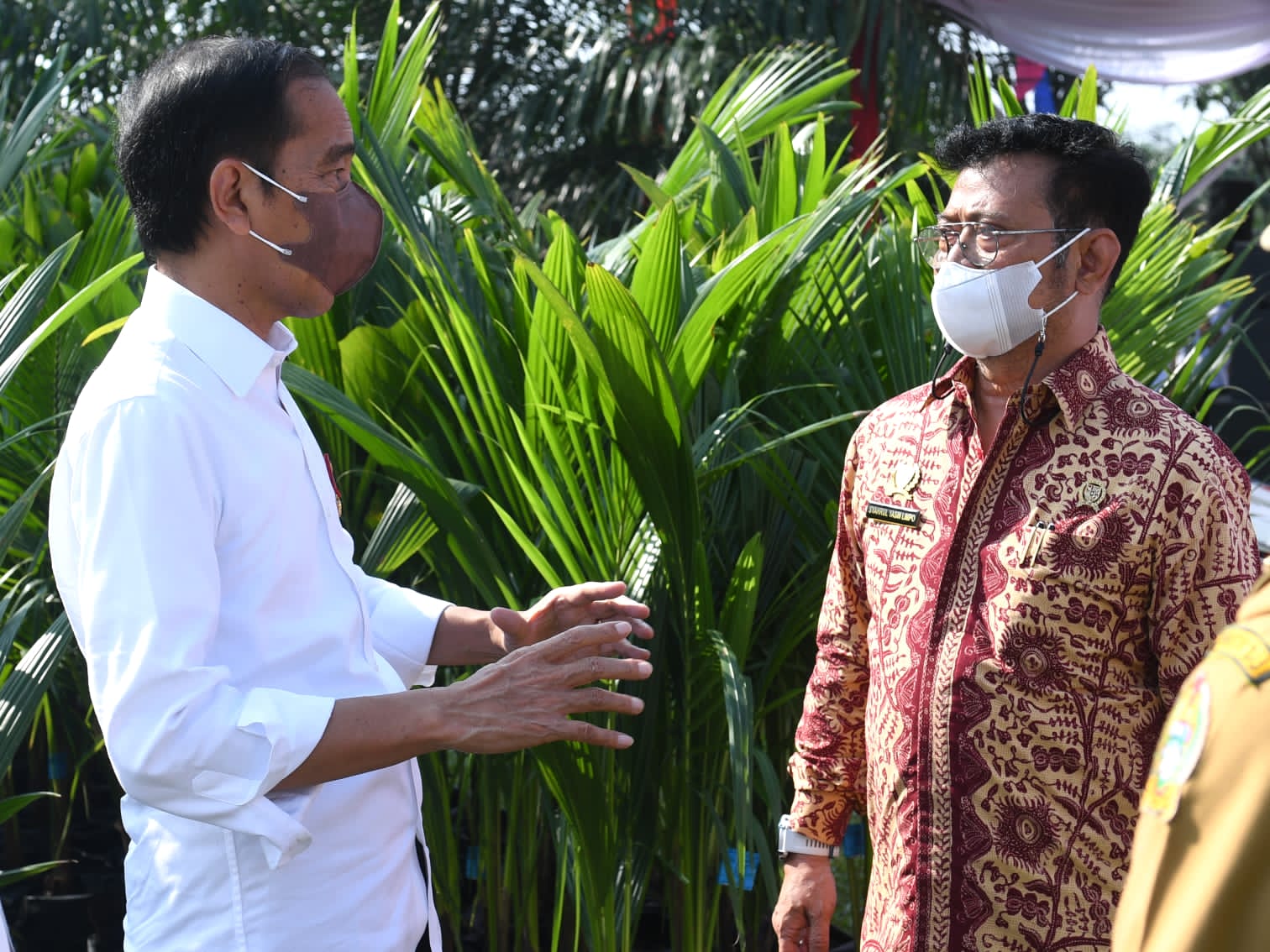 Tindak Lanjuti Arahan Presiden, Mentan SYL Targetkan Produksi 1 Juta Benih Kelapa