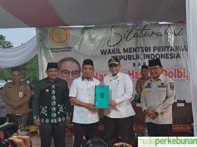WAMENTAN HARVICK DORONG INOVASI DAN HILIRISASI KELAPA DI INDRAGIRI HILIR