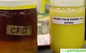 Masih Melemah Harga CPKO Hasil Tender PT KPBN Periode 4 Februari 2025