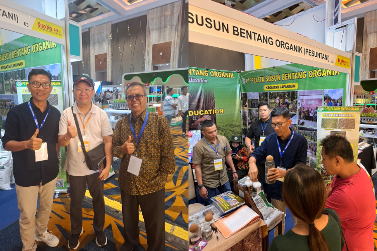 Cara Mengatasi Ganoderma Ala Pesuntani Mengundang Minat Pelaku Usaha